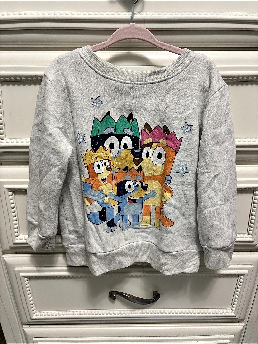 Kids Bluey Graphic Sweatshirt